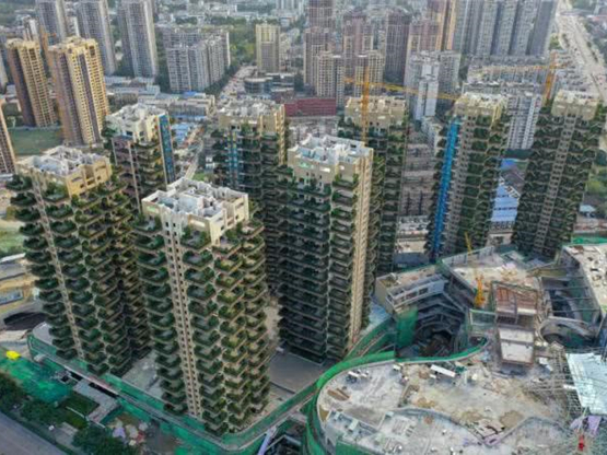 住建部领导和专家考察中国首个“第四代绿色生态住房”示范项目